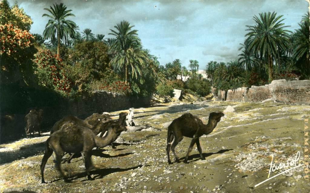 SUD ALGERIEN.JPG